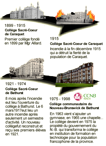 1899 1998 Échelle Du Temps NIDS